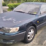 Cash for Cars in Wellington